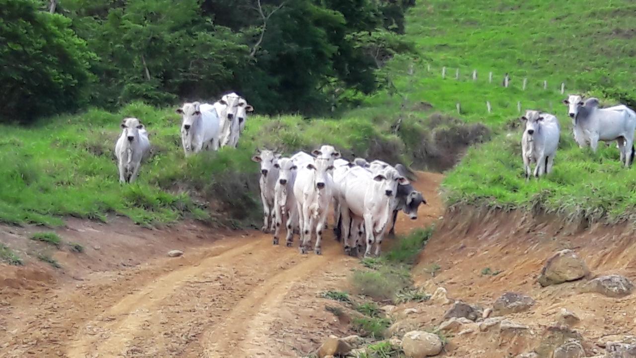 Toca - Bairro Serrano